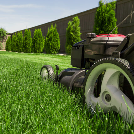 Lawn & Garden SuppliesA lawnmower with large white wheels cuts through lush, green grass. A neat row of tall bushes and a wooden fence line the background under a clear sky.