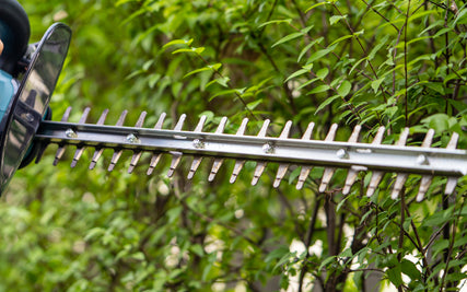 Lawn & Garden RentalsClose-up of a hedge trimmer cutting green leafy branches, emphasizing sharp metal blades and fresh foliage. The image conveys precision and gardening care.