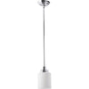 Home Impressions Crawford 1-Bulb Polished Chrome Incandescent Pendant Light Fixture