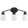 Home Impressions Palms 3-Bulb Oil Rubbed Bronze Vanity Bath Light Bar