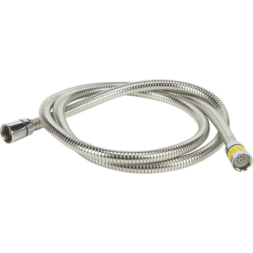 Home Impressions Stainless Steel 60 In. To 82 In. Extendable Shower Hose