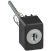 National Key Lock Thumb Button Assembly