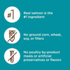 Rachael Ray Nutrish Natural Salmon & Brown Rice Recipe Dry Cat Food