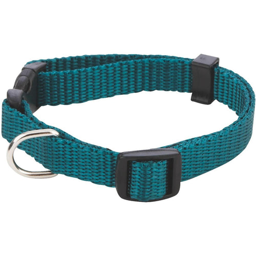 Westminster Pet Ruffin' it Fashion 8 In. to 12 In. Nylon Dog Collar