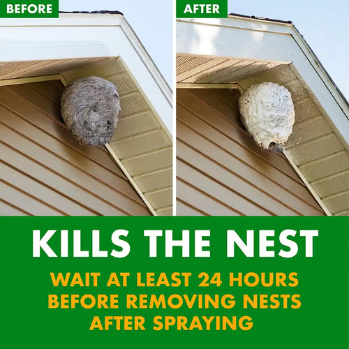 SPECTRACIDE Foaming Wasp & Hornet Killer