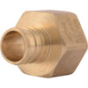 Watts PEX Swivel Adapter Brass